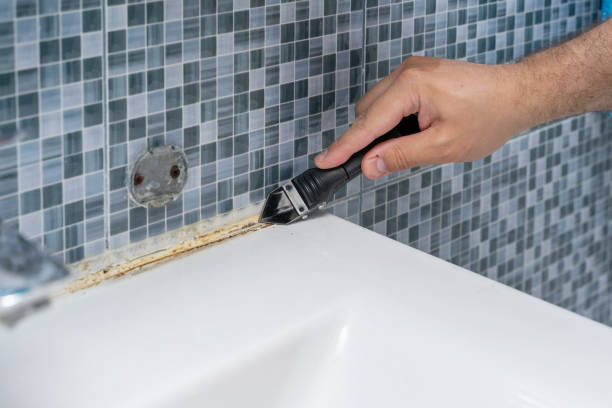 Best Black Mold Removal  in Kaumakani, HI