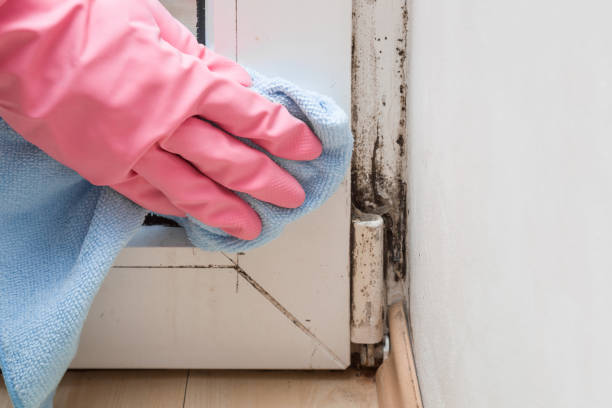 Best Crawl Space Mold Removal  in Kaumakani, HI